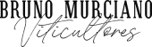 Bruno Murciano